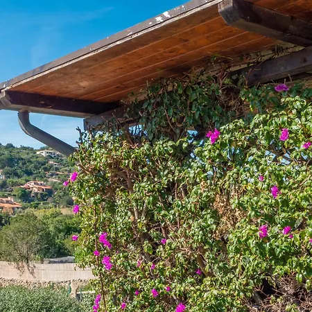 Leccio סאן תאודורו