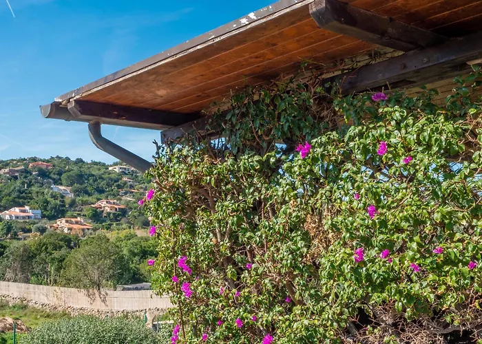 Leccio San Teodoro (Sardinia)